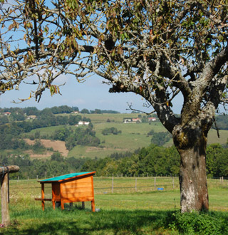 photographie des 5 hectares