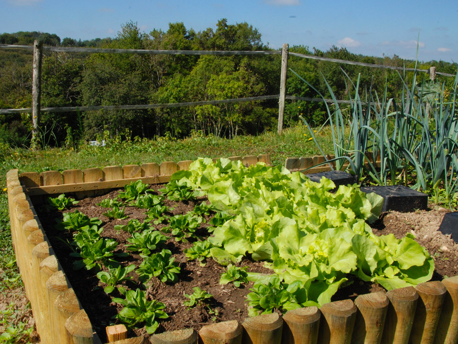 Domaine la Dupré, le potager