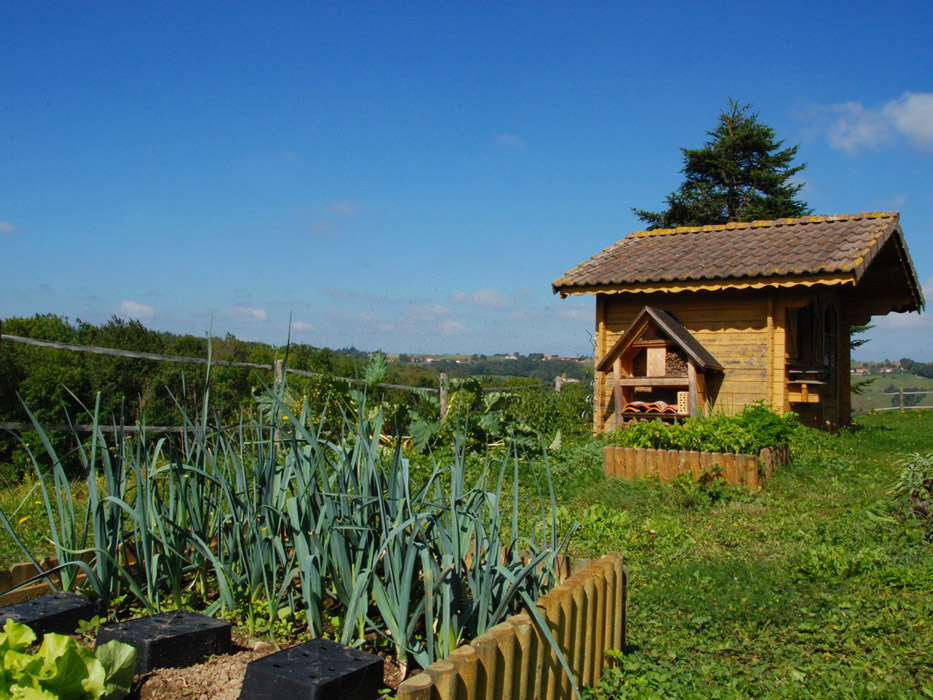 Domaine la Dupré, le potager