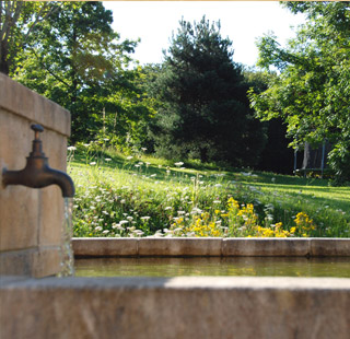 photographie de la fontaine